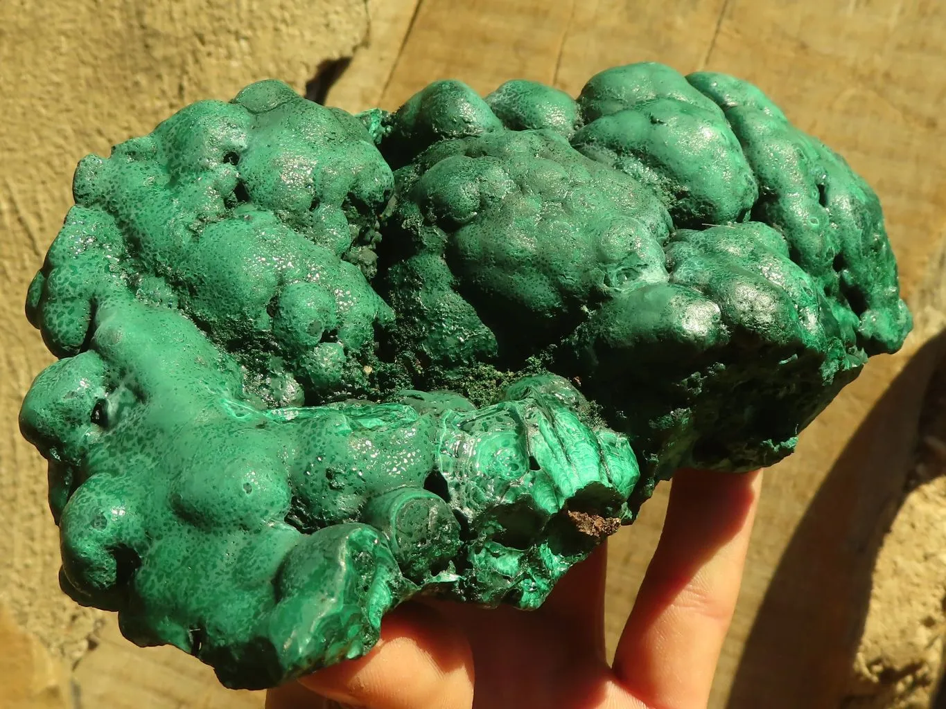 Natural Botryoidal Malachite Specimens  x 2 From Congo