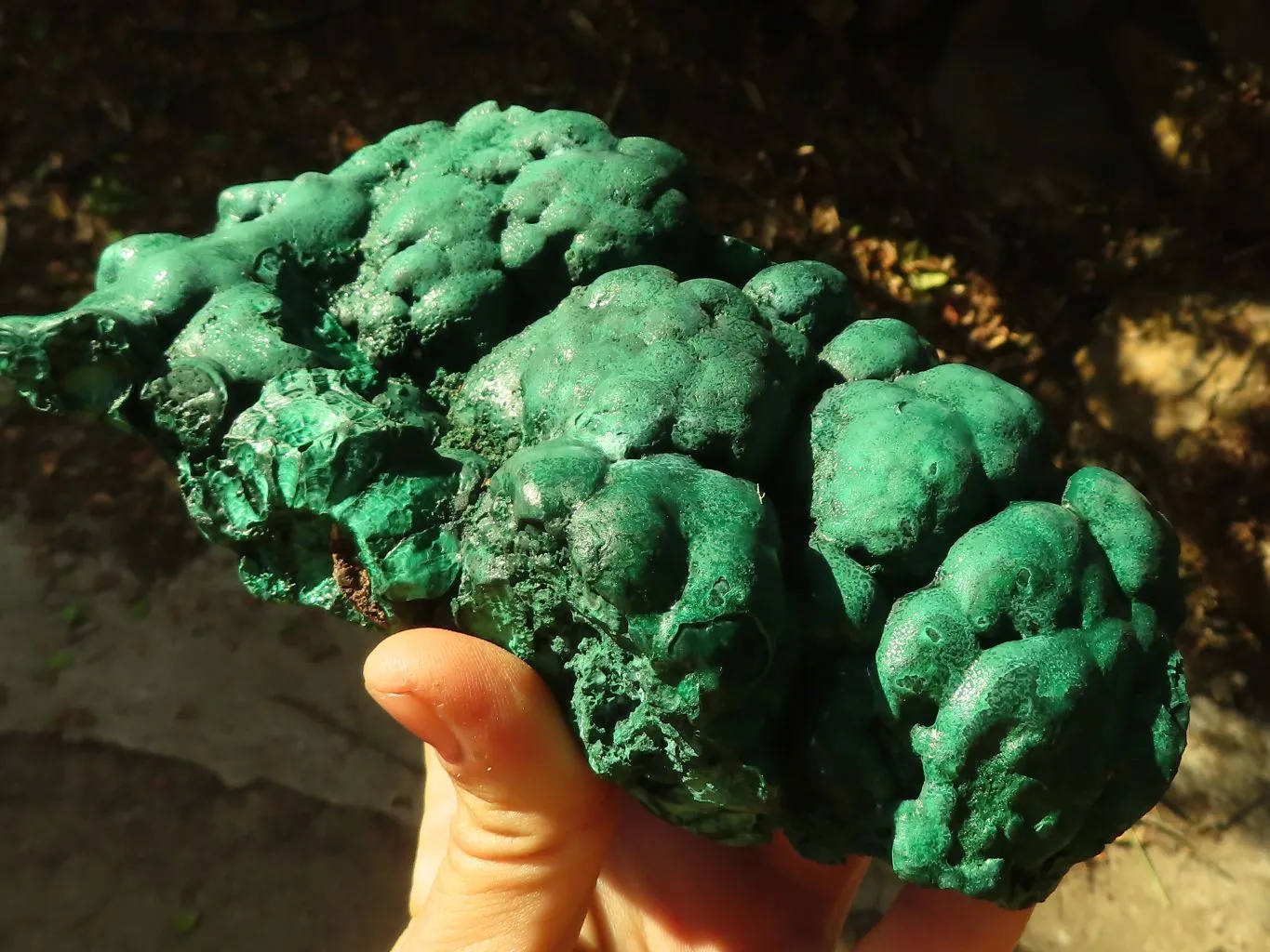 Natural Botryoidal Malachite Specimens  x 2 From Congo