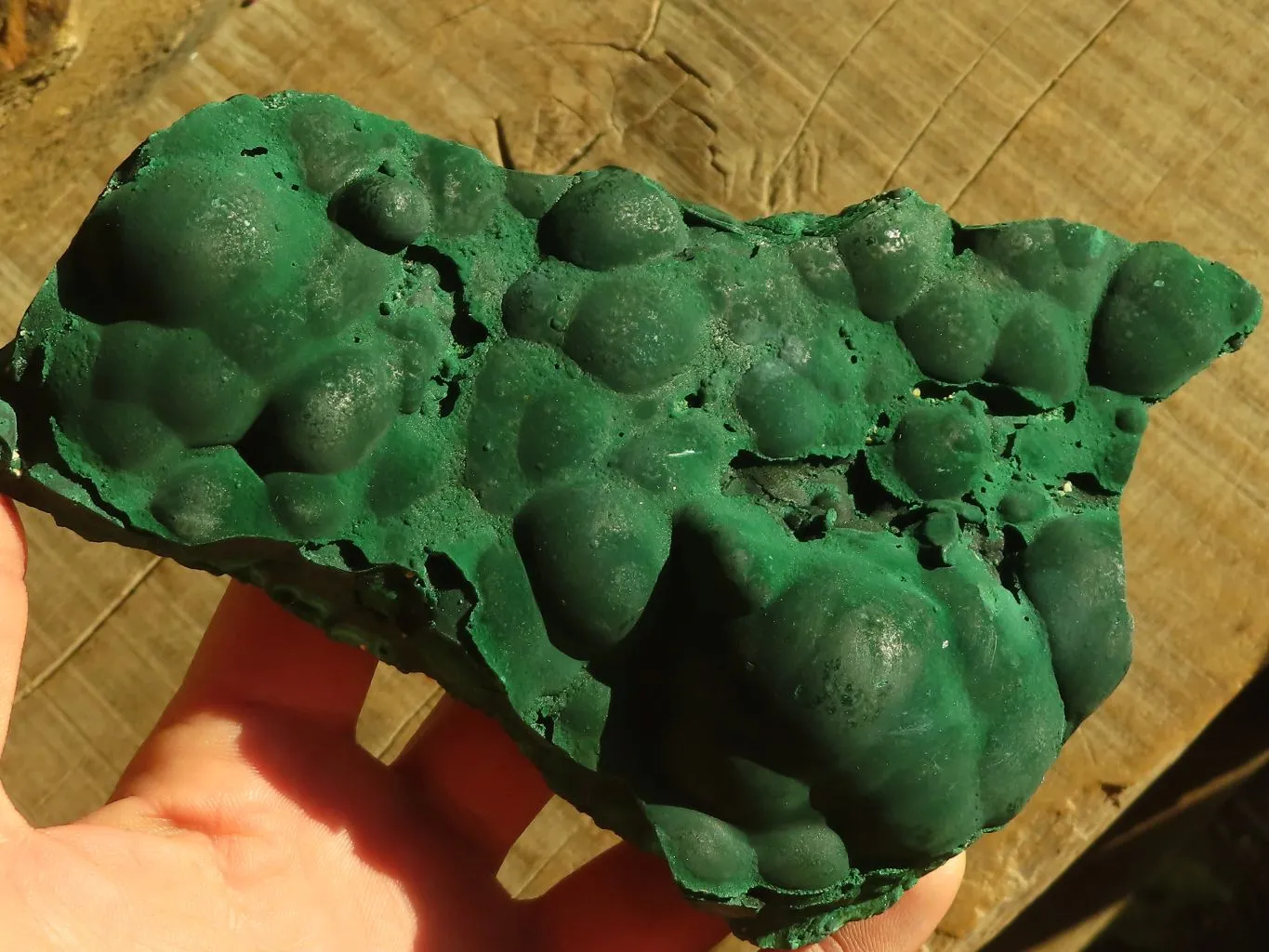 Natural Botryoidal Malachite Specimens  x 2 From Congo