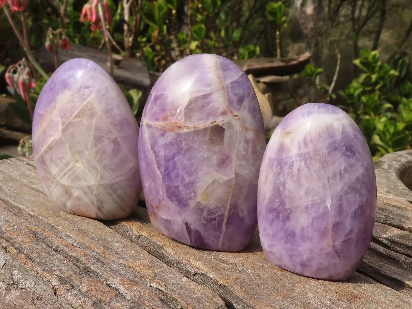 Polished Amethyst Standing Free Forms x 6 From Madagascar