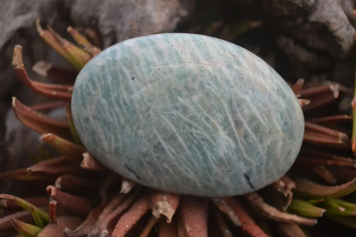 Polished Blue Amazonite Palm Stones  x 12 From Madagascar