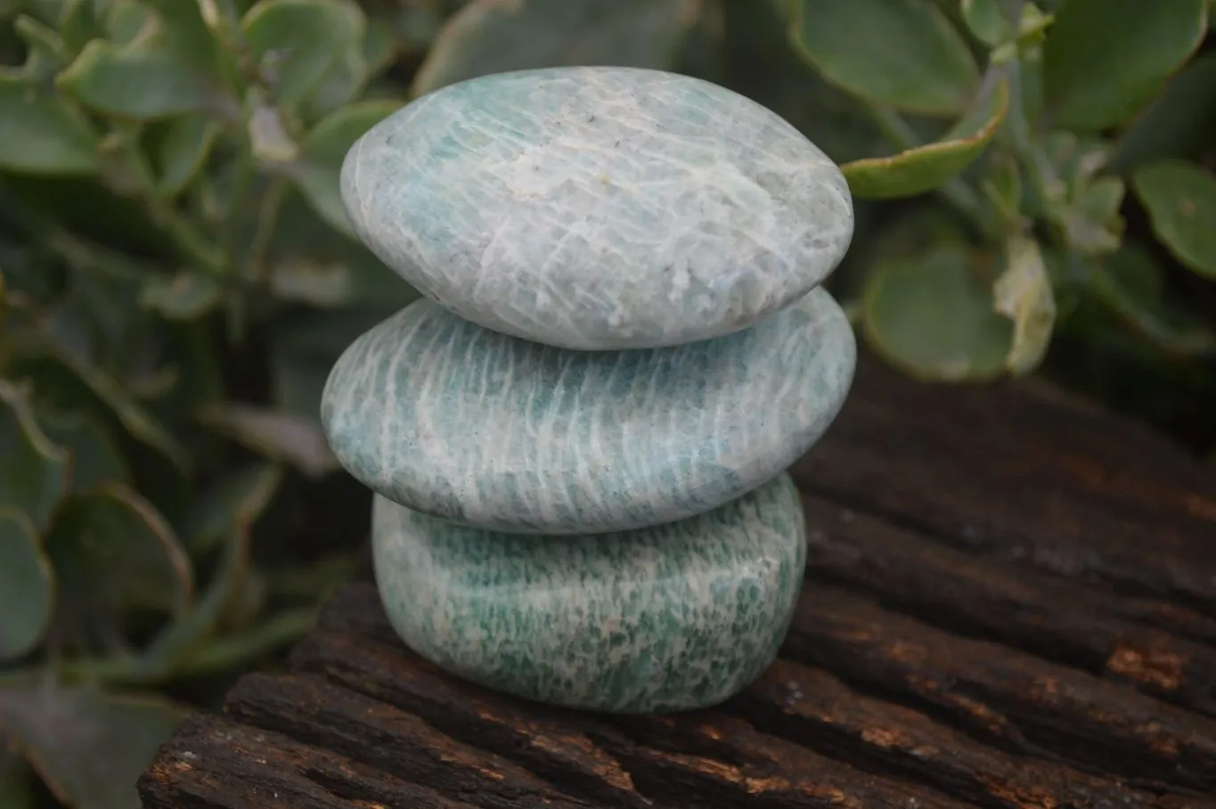 Polished Blue Amazonite Palm Stones  x 12 From Madagascar