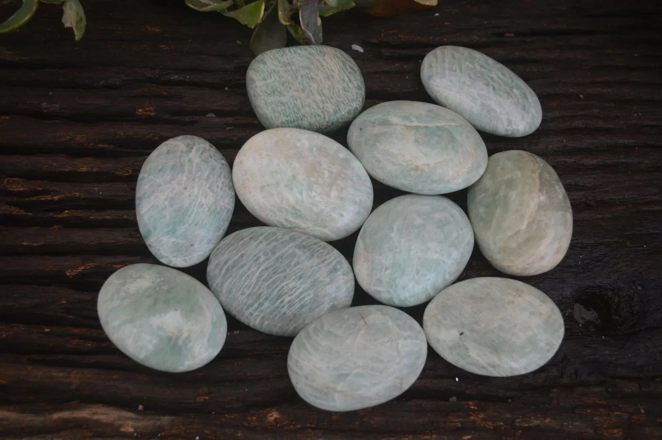 Polished Blue Amazonite Palm Stones  x 12 From Madagascar