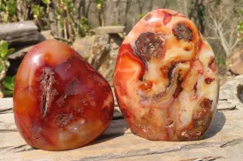 Polished Carnelian Standing Free Forms x 2 From Madagascar