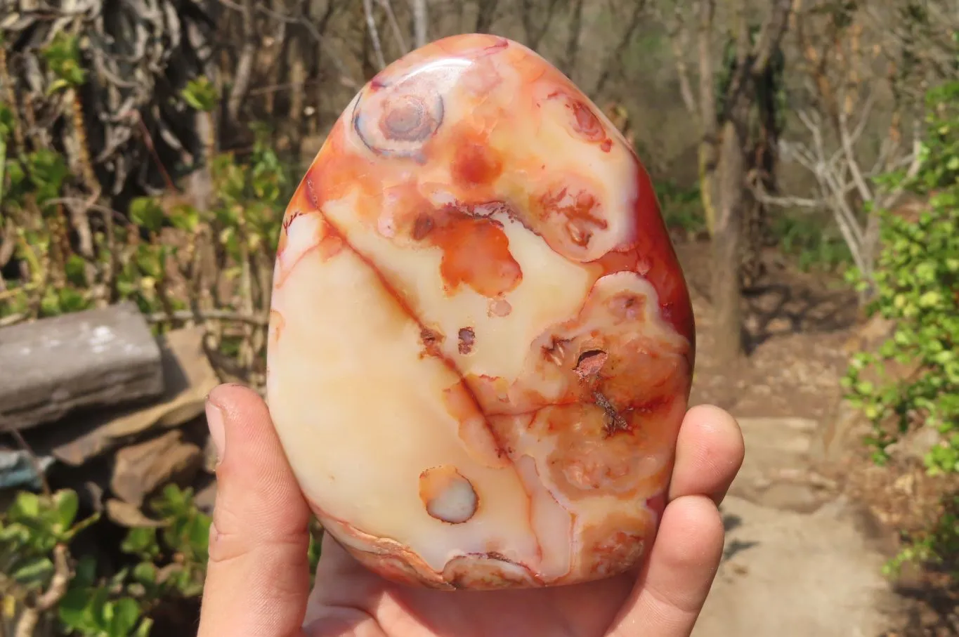 Polished Carnelian Standing Free Forms x 2 From Madagascar