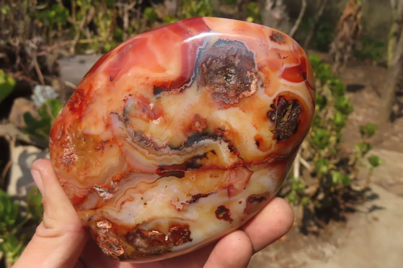 Polished Carnelian Standing Free Forms x 2 From Madagascar