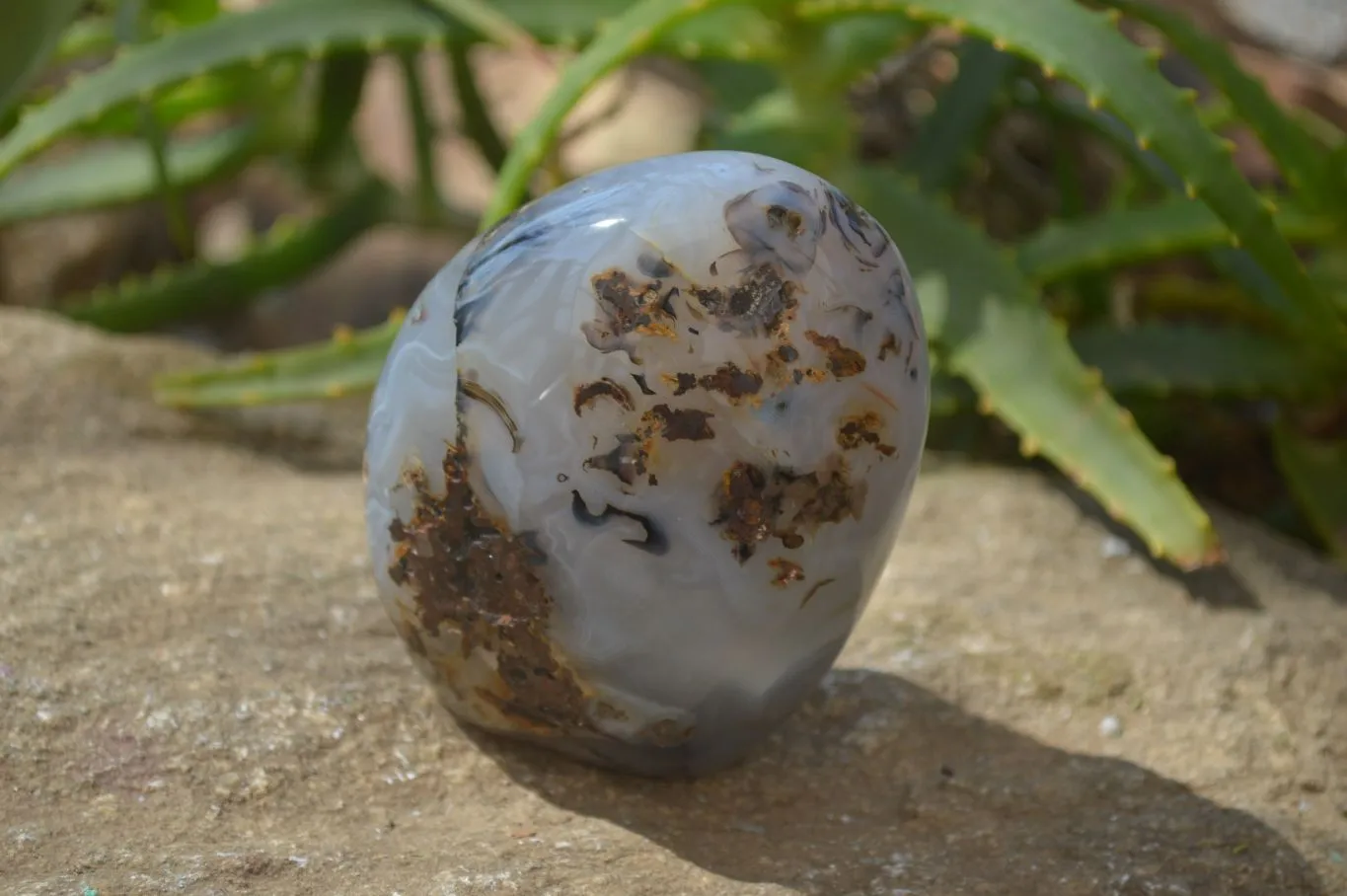 Polished Dendritic Agate Standing Free Forms x 3 From Madagascar