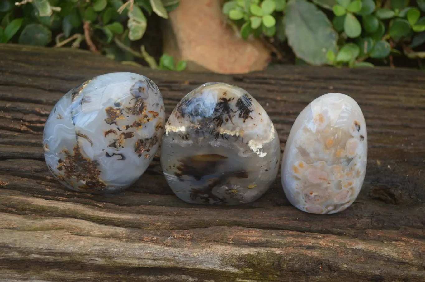 Polished Dendritic Agate Standing Free Forms x 3 From Madagascar