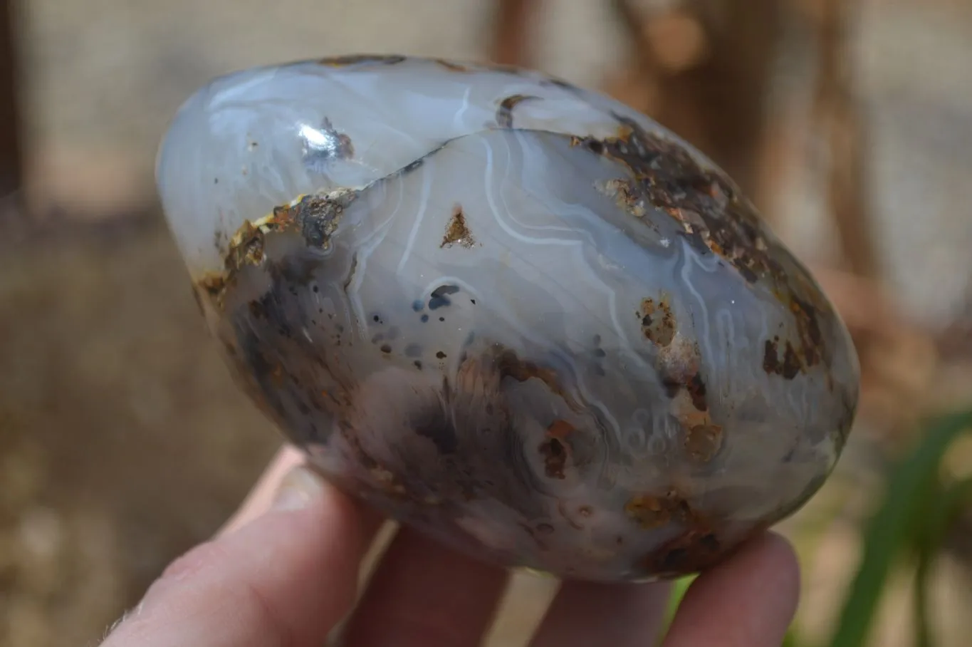 Polished Dendritic Agate Standing Free Forms x 3 From Madagascar