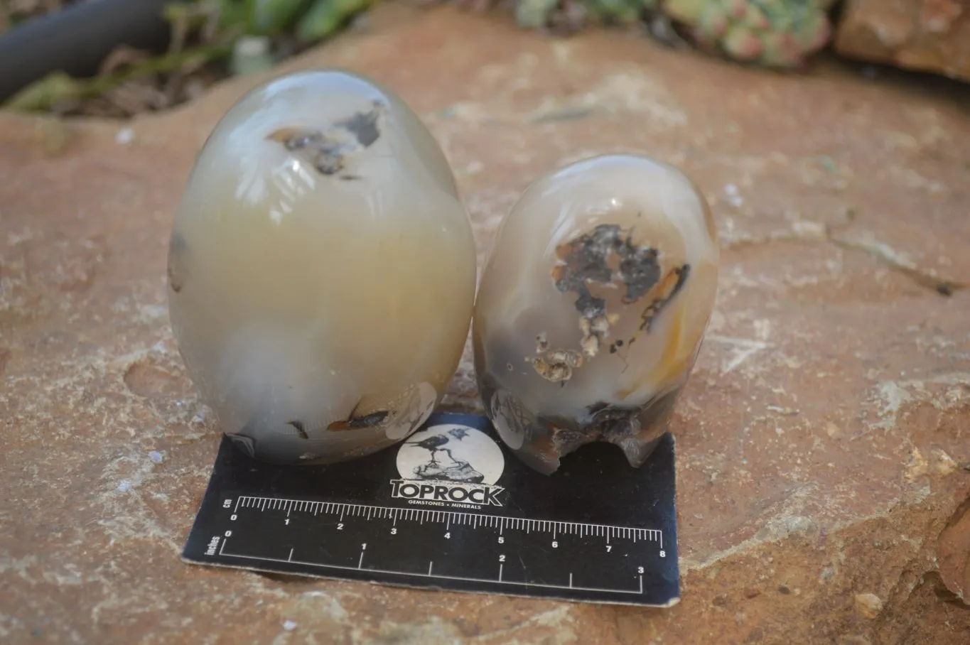 Polished Dendritic Agate Standing Free Forms  x 6 From Moralambo, Madagascar