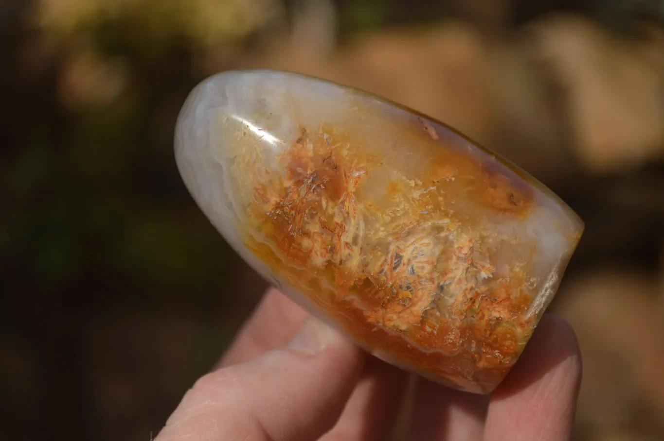 Polished Dendritic Agate Standing Free Forms  x 6 From Moralambo, Madagascar