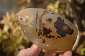 Polished Dendritic Agate Standing Free Forms  x 6 From Moralambo, Madagascar