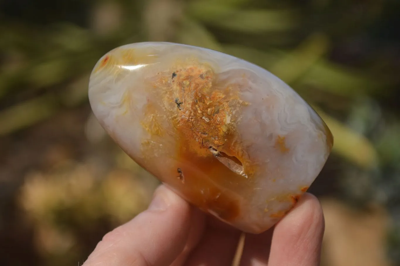 Polished Dendritic Agate Standing Free Forms  x 6 From Moralambo, Madagascar