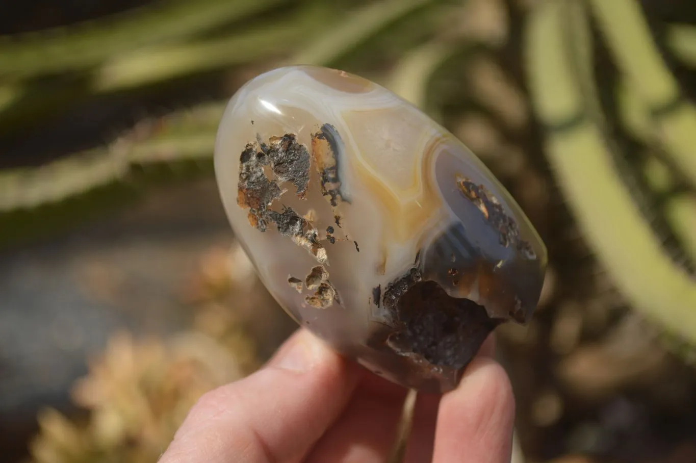 Polished Dendritic Agate Standing Free Forms  x 6 From Moralambo, Madagascar