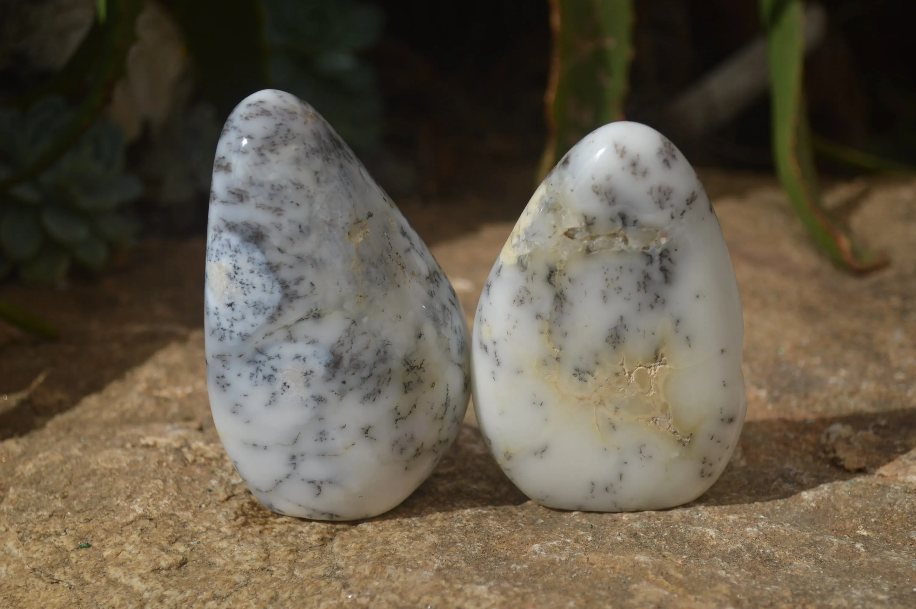 Polished Dendritic Opal Standing Free Forms x 6 From Moralambo, Madagascar