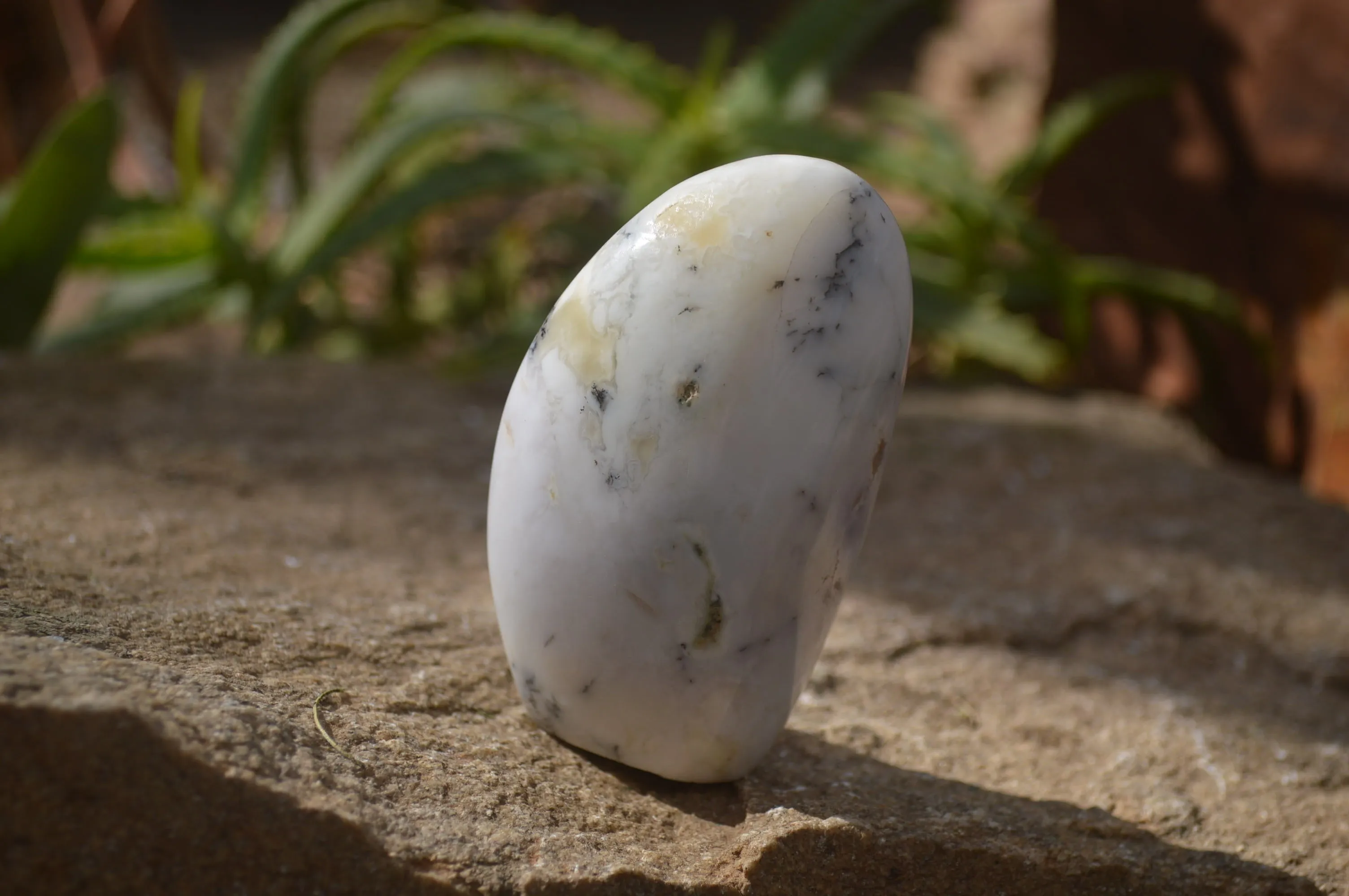 Polished Dendritic Opal Standing Free Forms x 6 From Moralambo, Madagascar