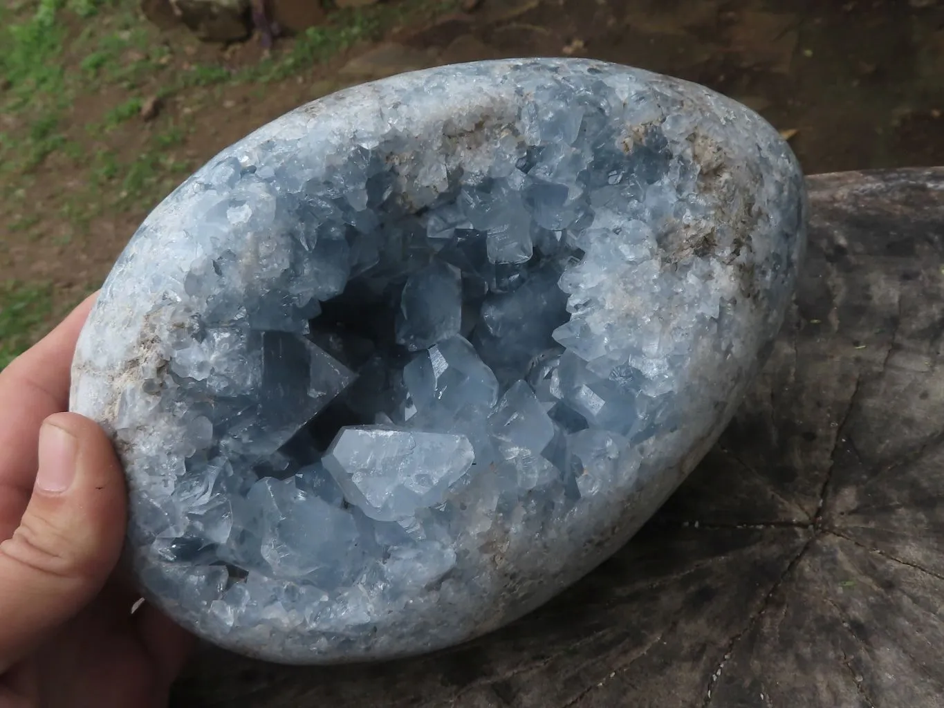 Polished Extra Large Blue Celestite Egg Geode  x 1 From Sakoany, Madagascar