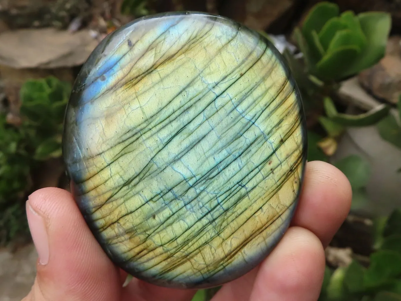 Polished Flashy Labradorite Palm Stones  x 13 From Tulear, Madagascar