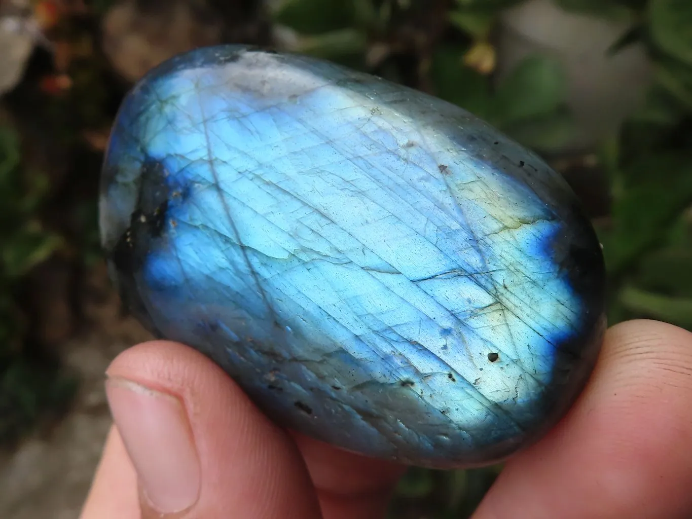 Polished Flashy Labradorite Palm Stones  x 13 From Tulear, Madagascar