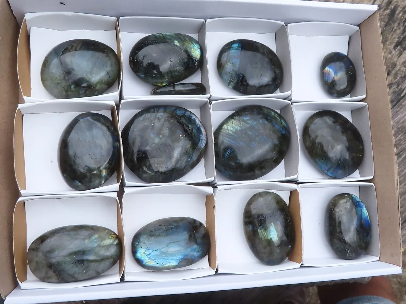 Polished Flashy Labradorite Palm Stones  x 13 From Tulear, Madagascar