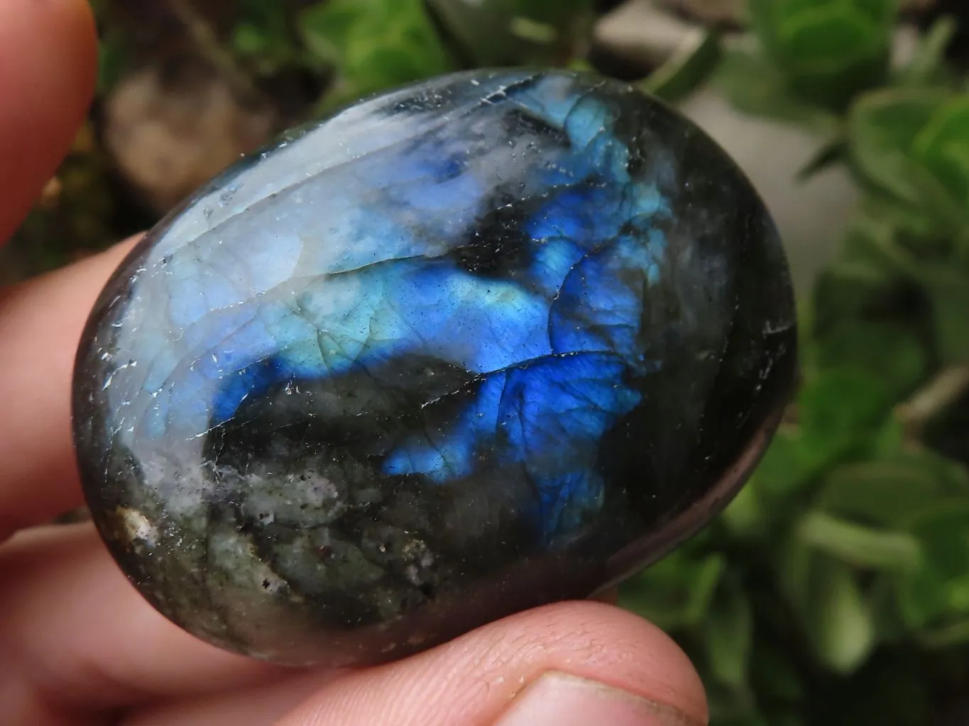 Polished Flashy Labradorite Palm Stones  x 13 From Tulear, Madagascar