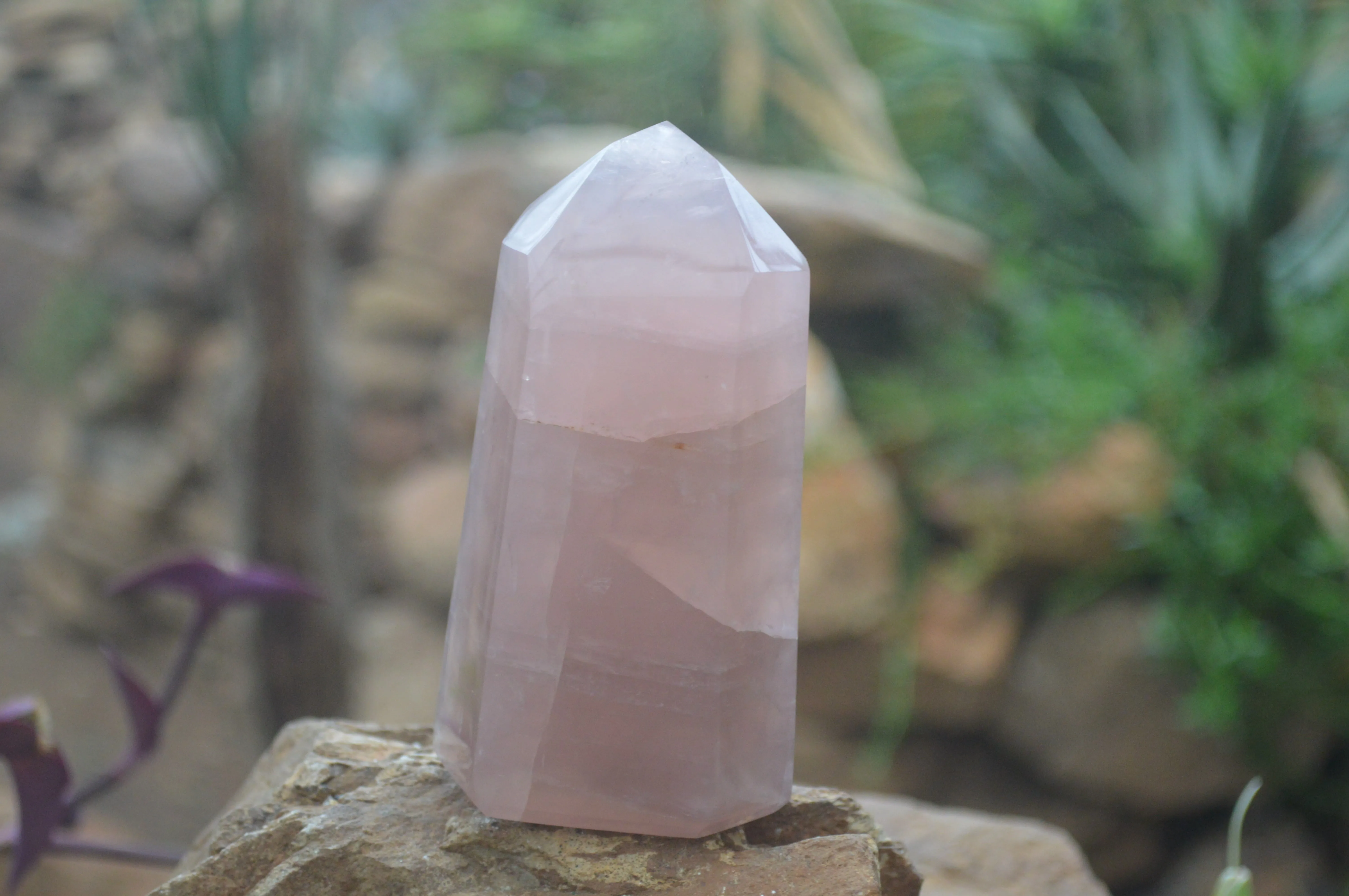 Polished Gemmy Rose Quartz Points x 4 From Madagascar