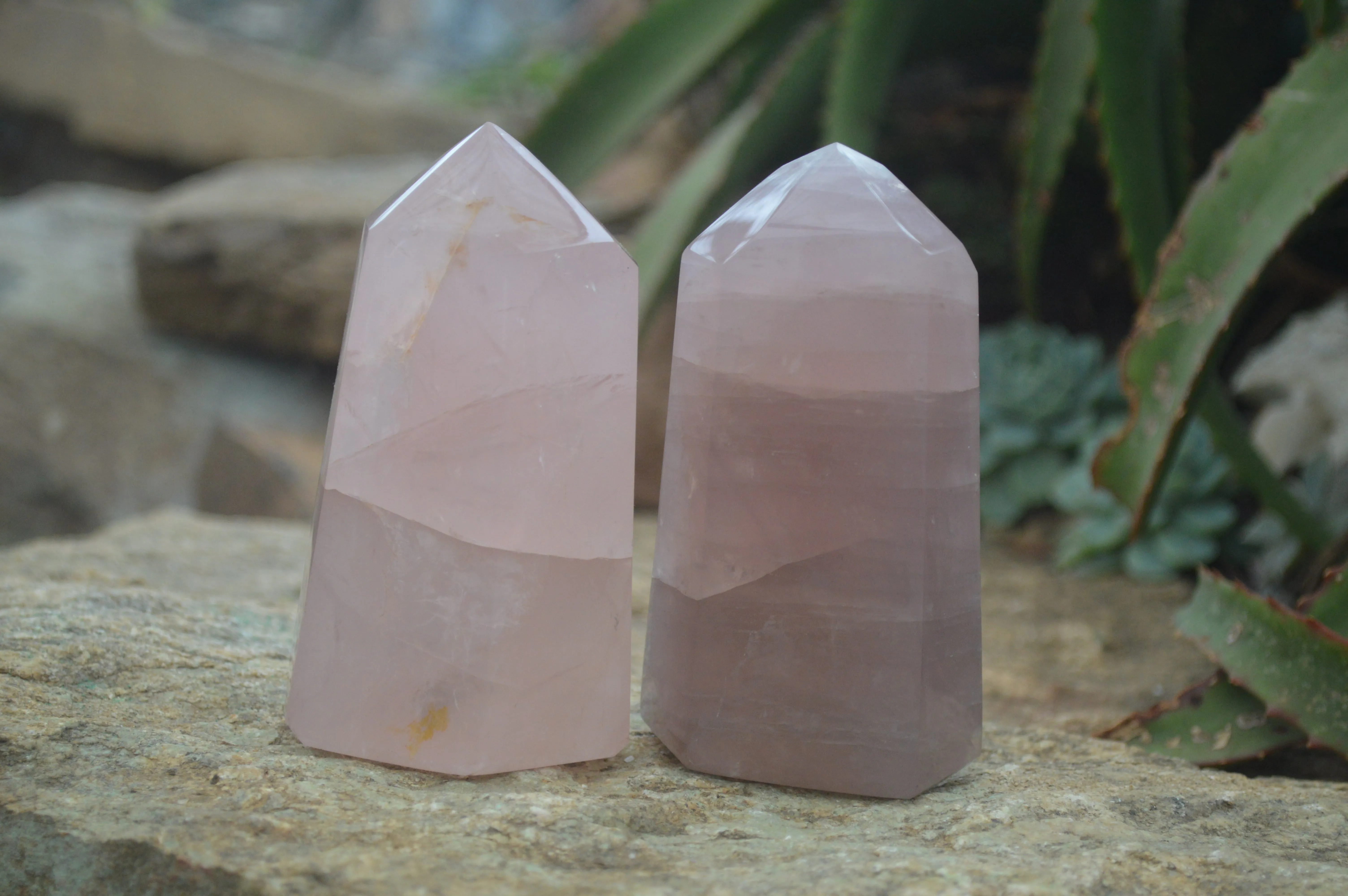 Polished Gemmy Rose Quartz Points x 4 From Madagascar