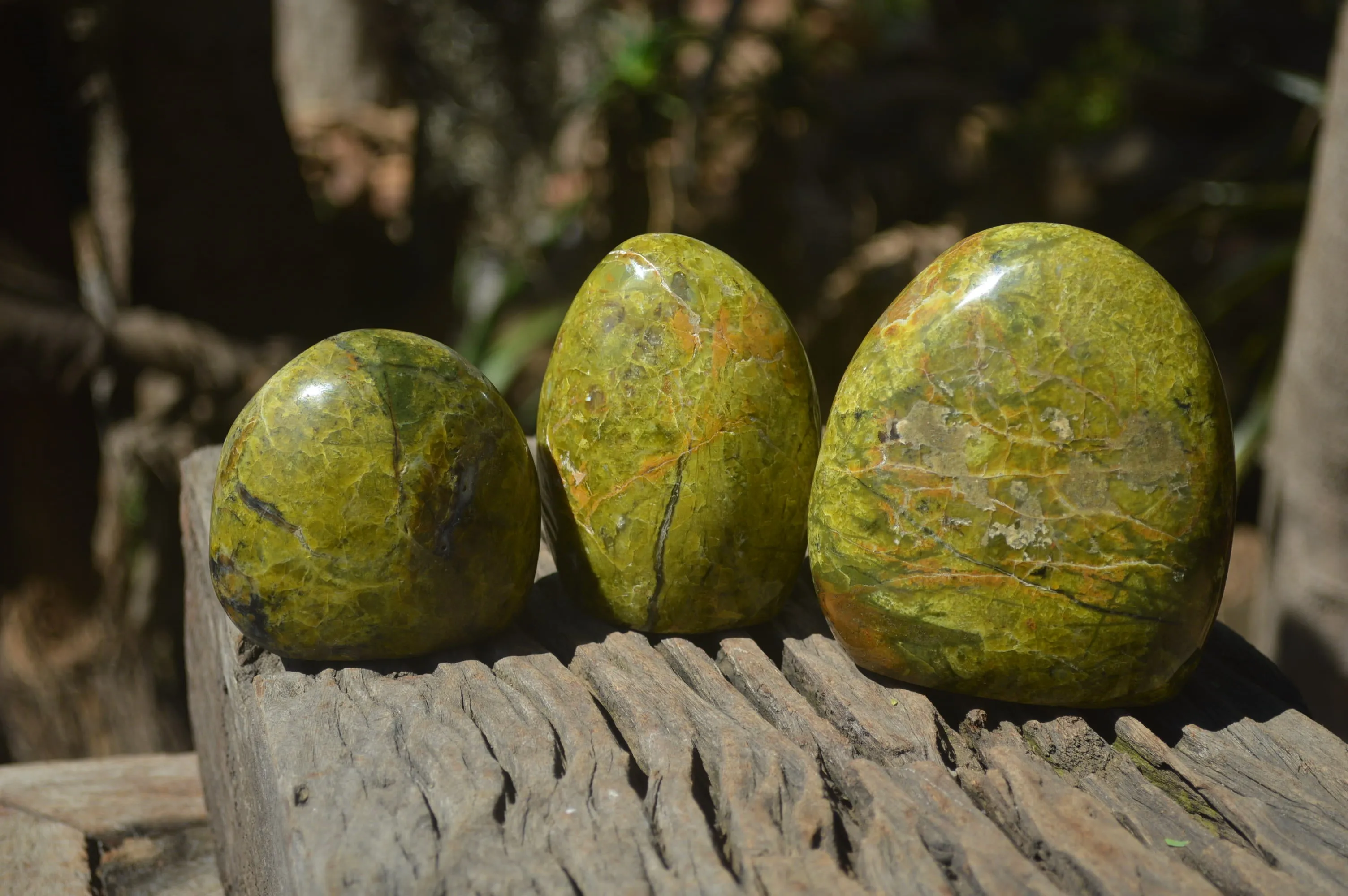 Polished Green Opal Standing Free Forms x 3 From Antsirabe, Madagascar