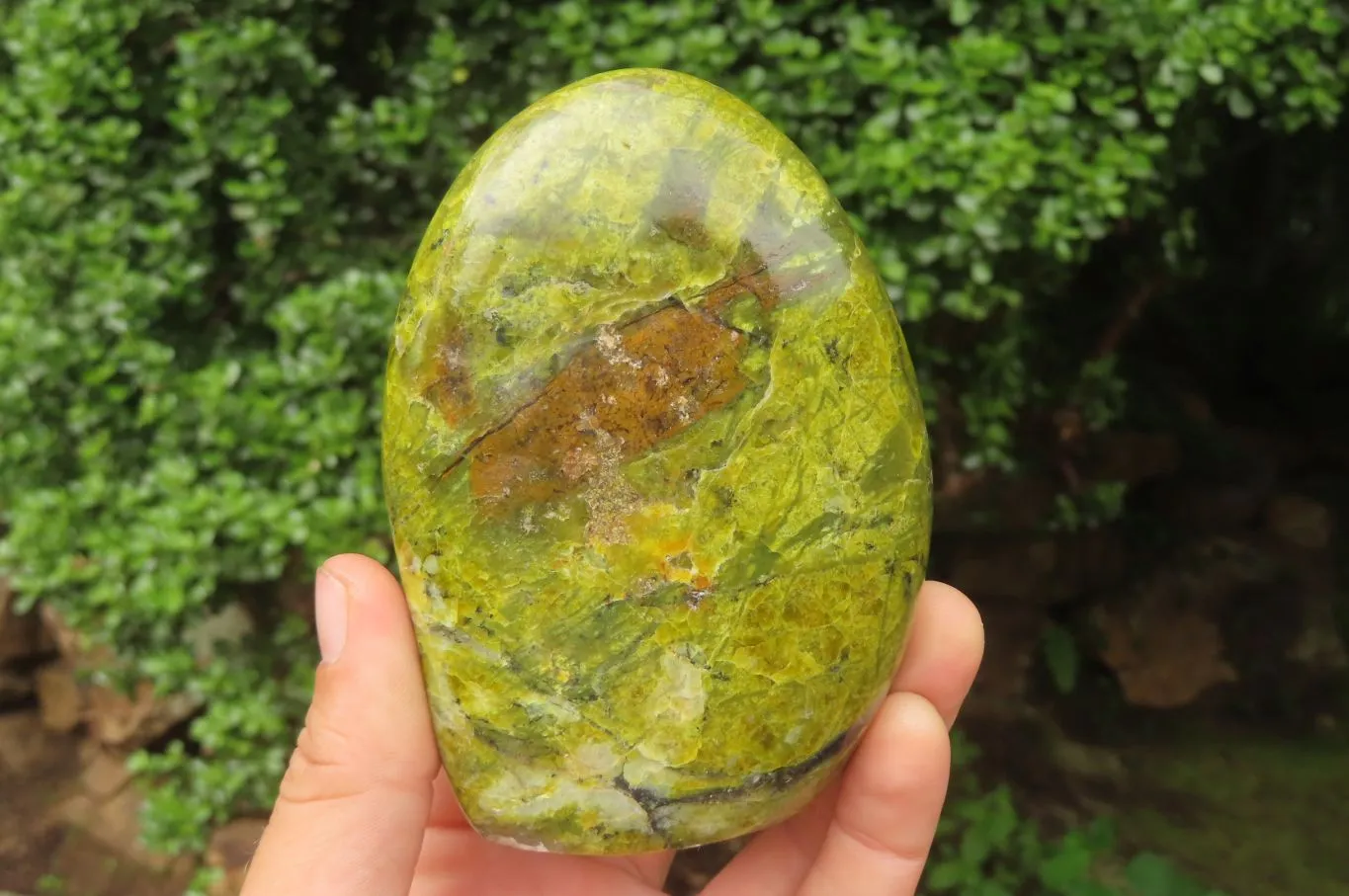 Polished Green Opal Standing Free Forms x 4 From Antsirabe, Madagascar