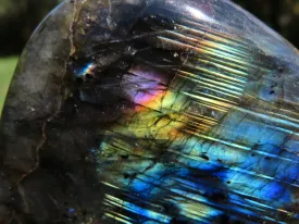 Polished Labradorite Standing Free Form x 1 From Tulear, Madagascar