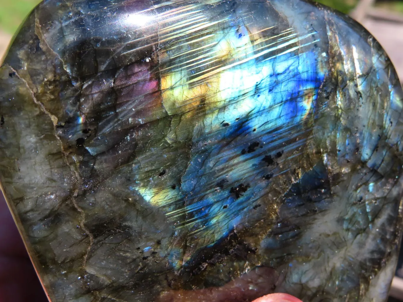 Polished Labradorite Standing Free Form x 1 From Tulear, Madagascar