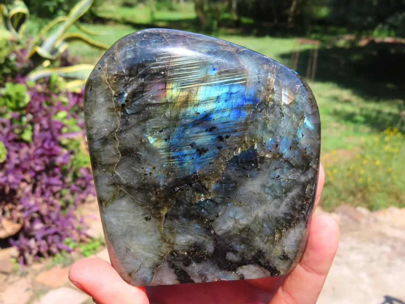 Polished Labradorite Standing Free Form x 1 From Tulear, Madagascar