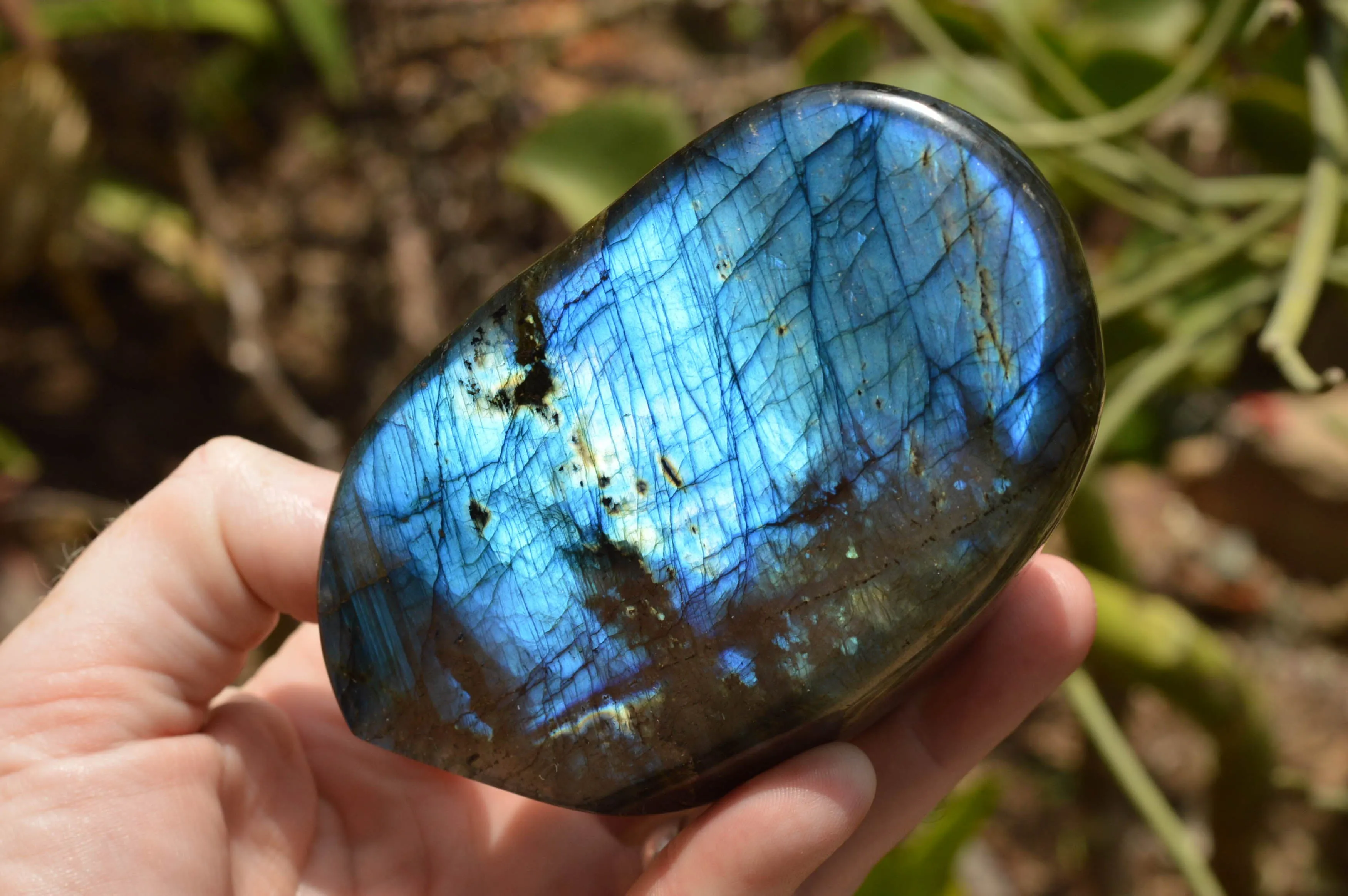 Polished Labradorite Standing Free Forms With Intense Blue & Gold Flash x 3 From Tulear, Madagascar