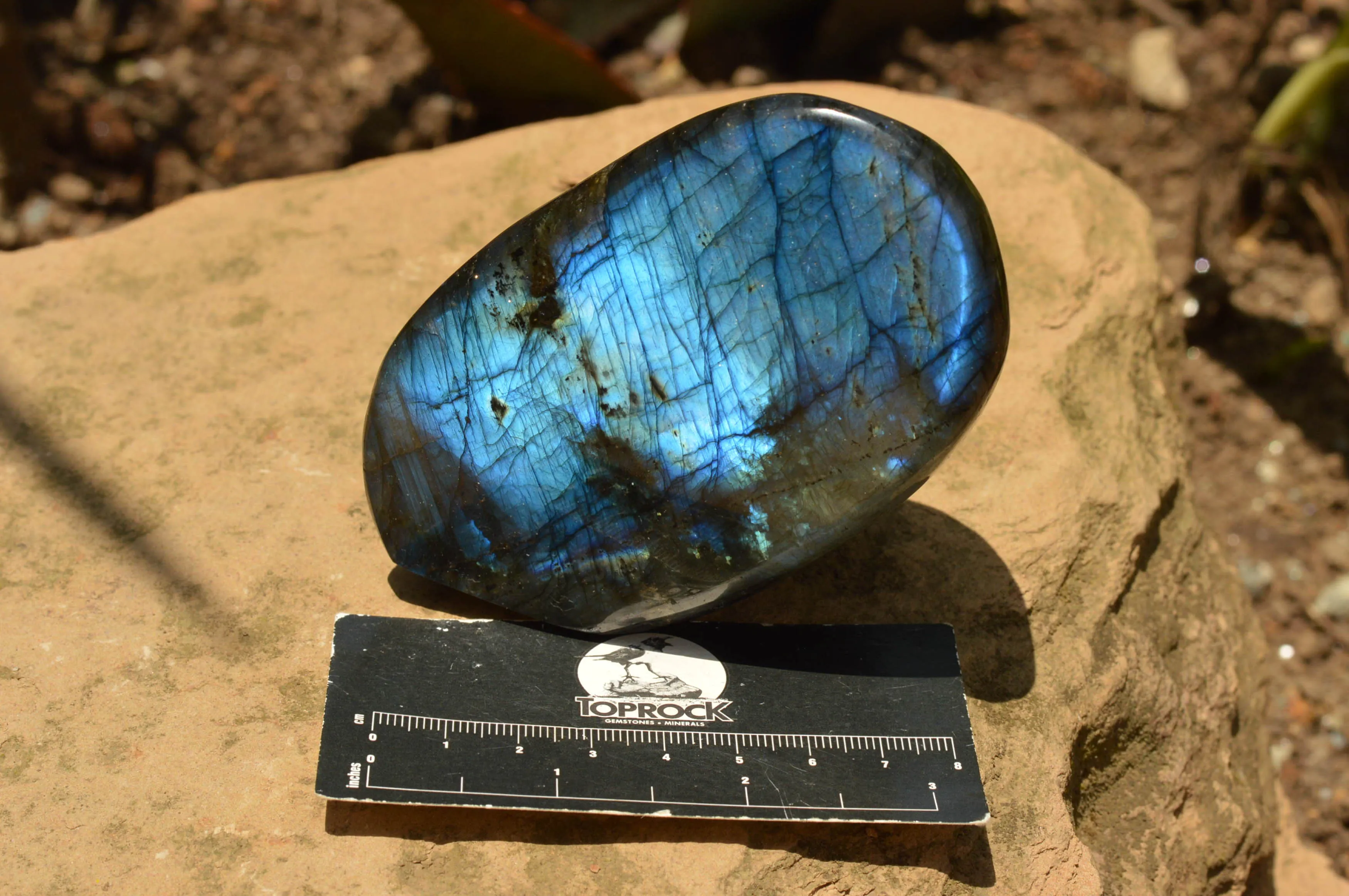 Polished Labradorite Standing Free Forms With Intense Blue & Gold Flash x 3 From Tulear, Madagascar