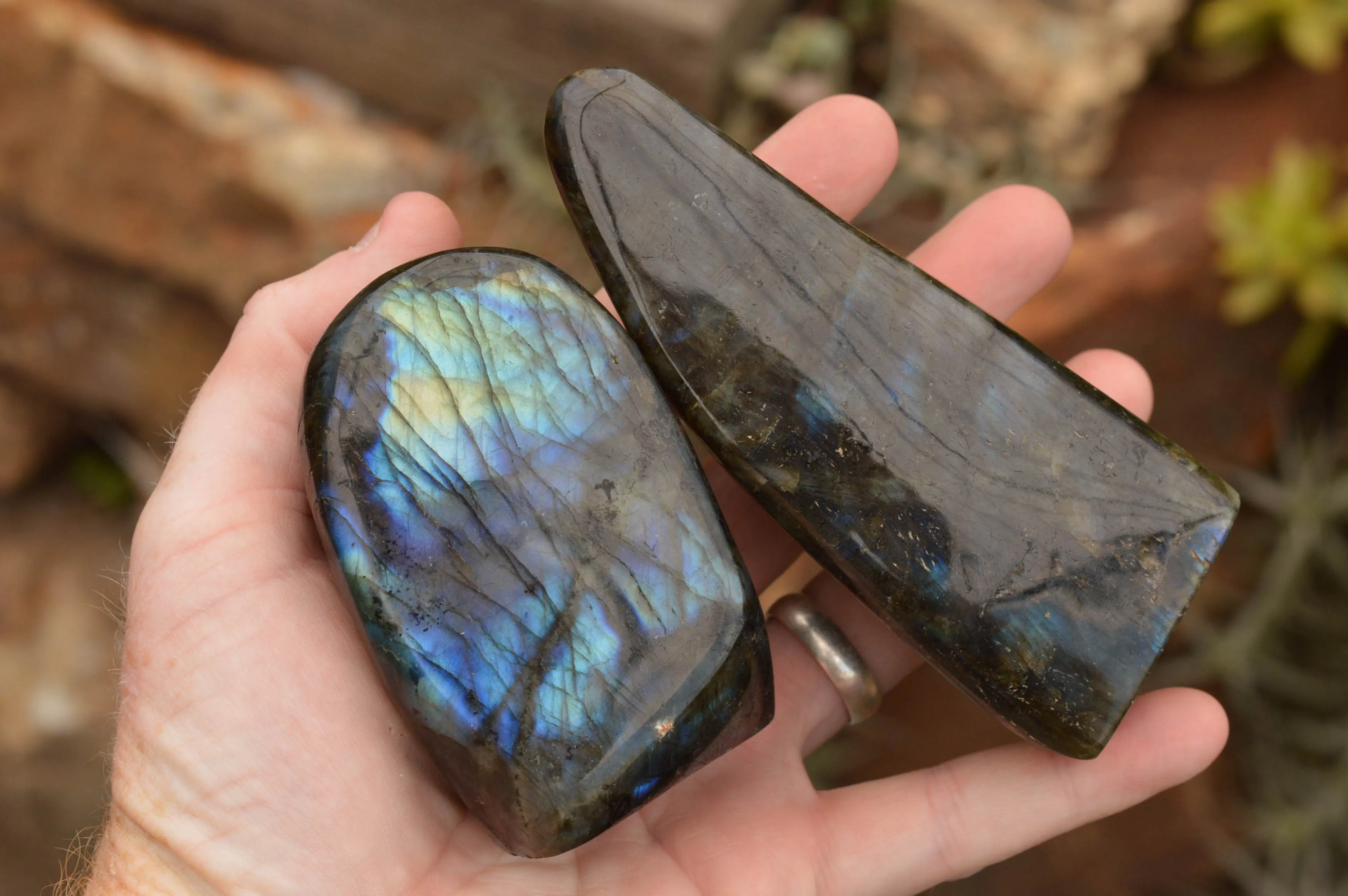 Polished Labradorite Standing Free Forms With Intense Blue & Gold Flash x 3 From Tulear, Madagascar