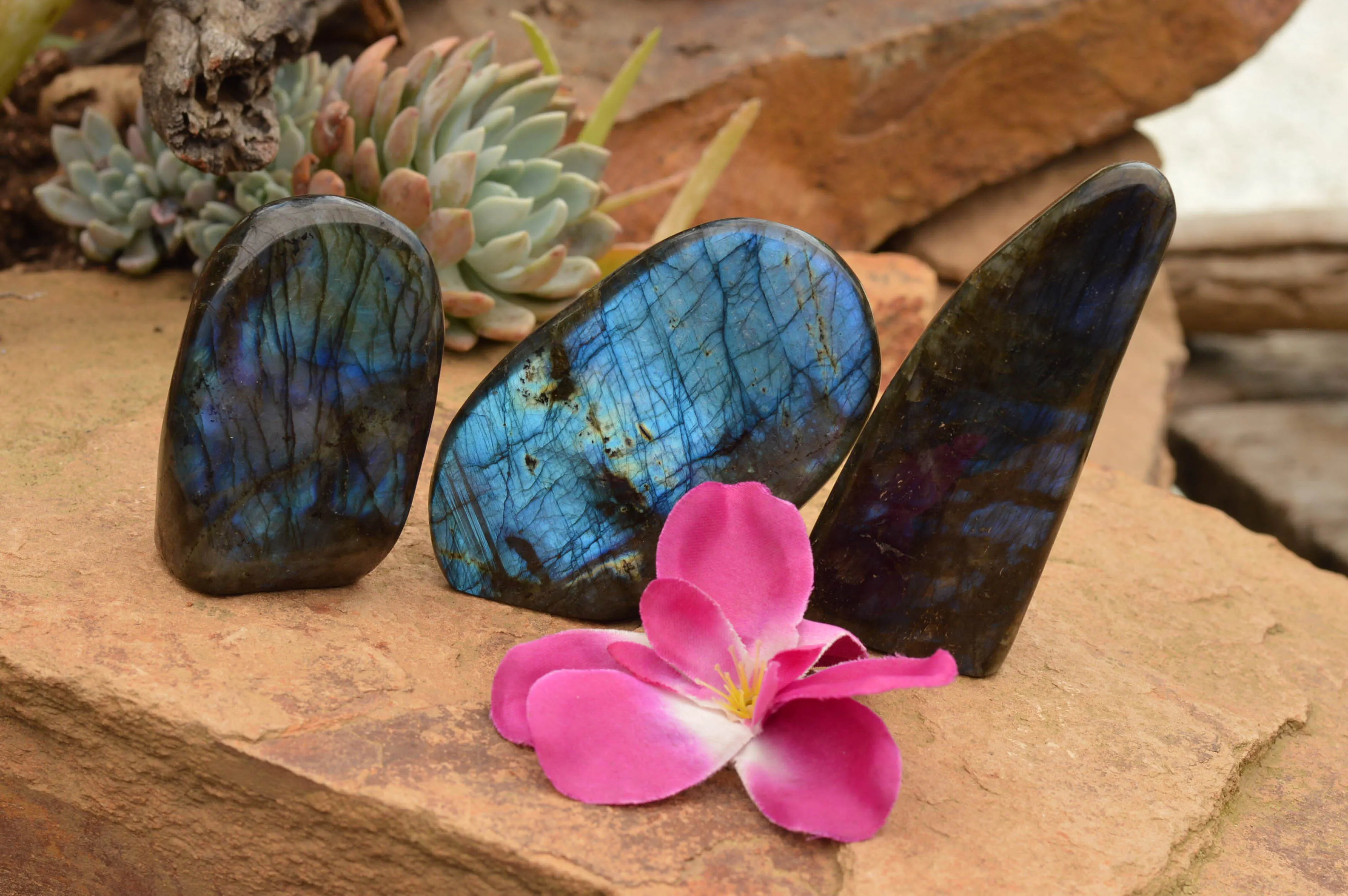 Polished Labradorite Standing Free Forms With Intense Blue & Gold Flash x 3 From Tulear, Madagascar