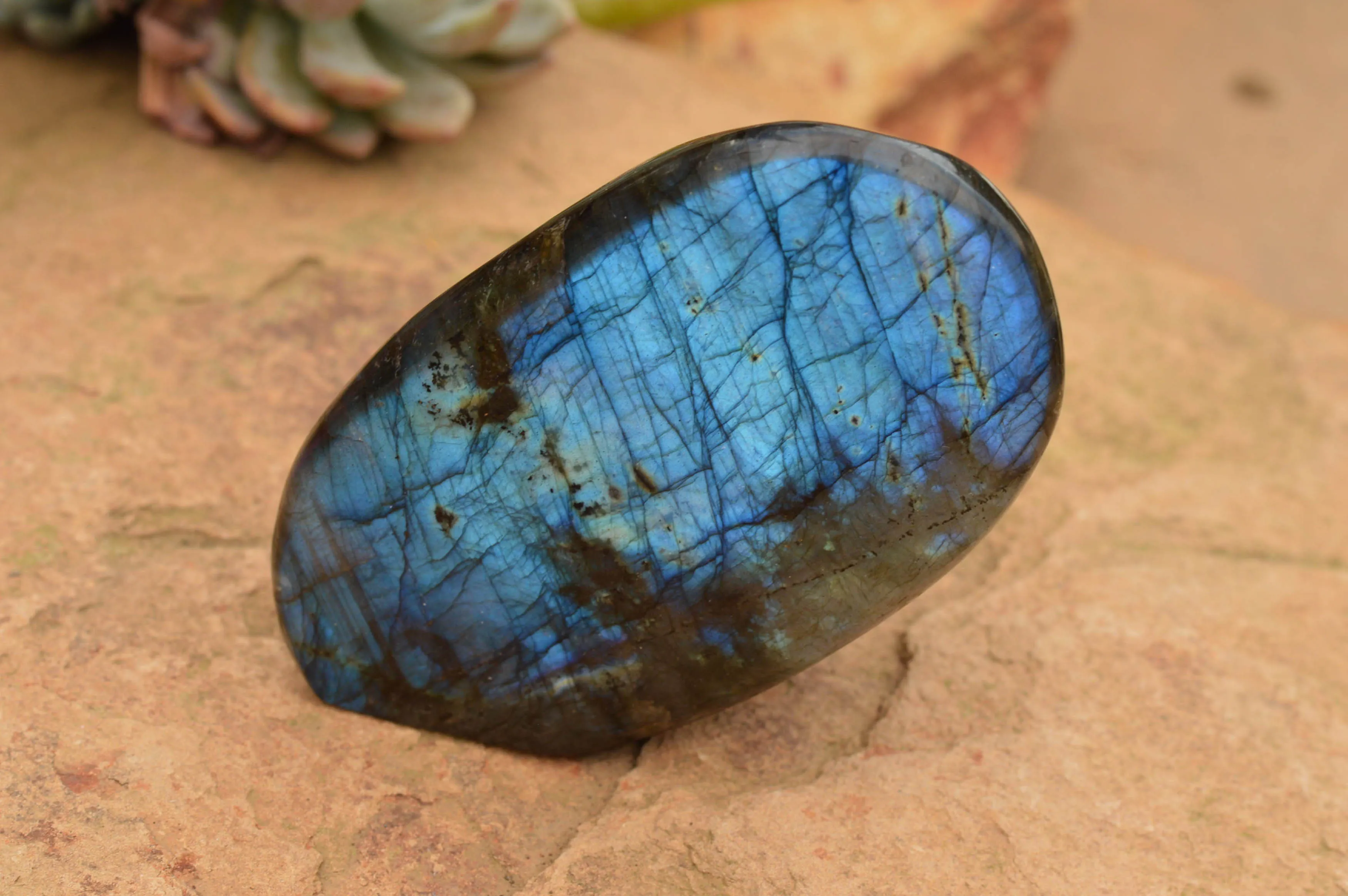 Polished Labradorite Standing Free Forms With Intense Blue & Gold Flash x 3 From Tulear, Madagascar