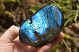 Polished Labradorite Standing Free Forms With Intense Blue & Gold Flash x 3 From Tulear, Madagascar