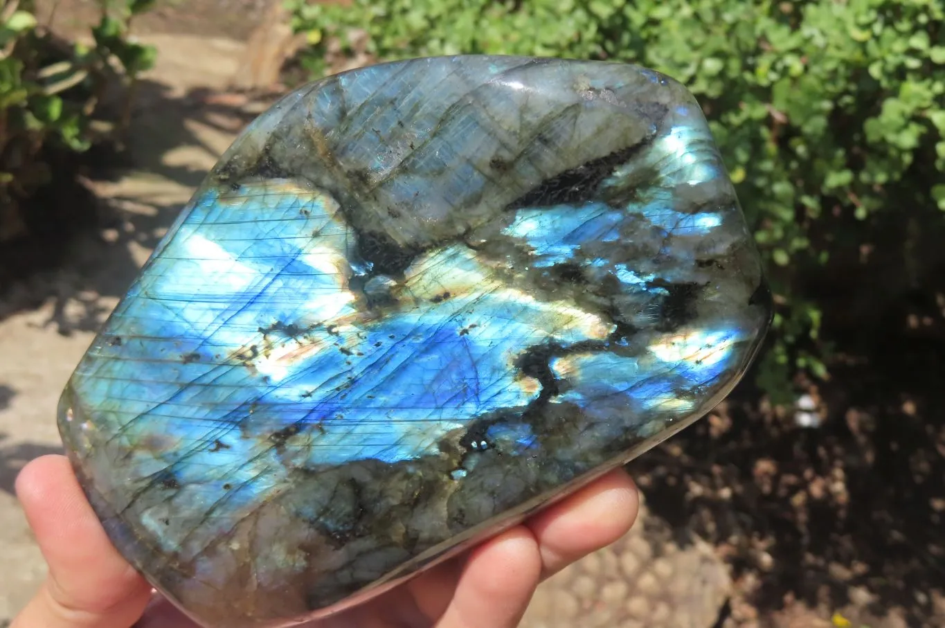 Polished Labradorite Standing Free Forms x 2 From Tulear, Madagascar