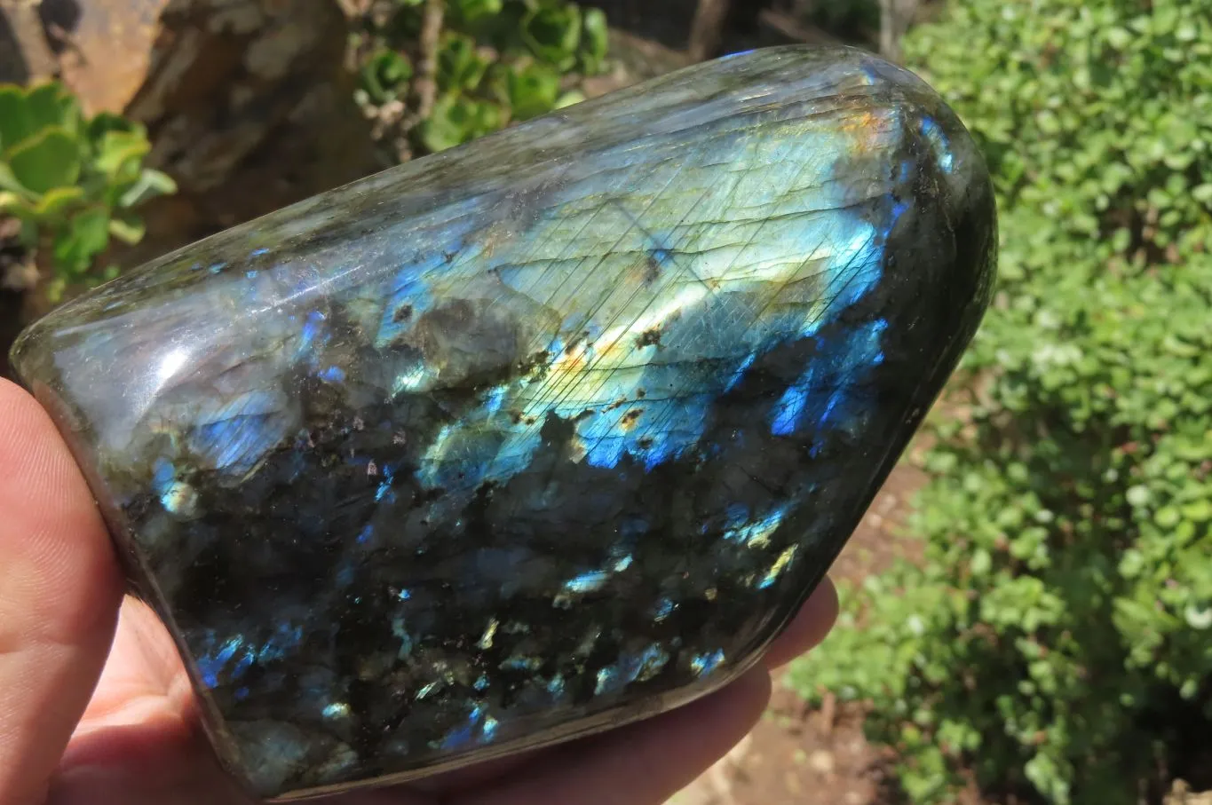 Polished Labradorite Standing Free Forms x 2 From Tulear, Madagascar