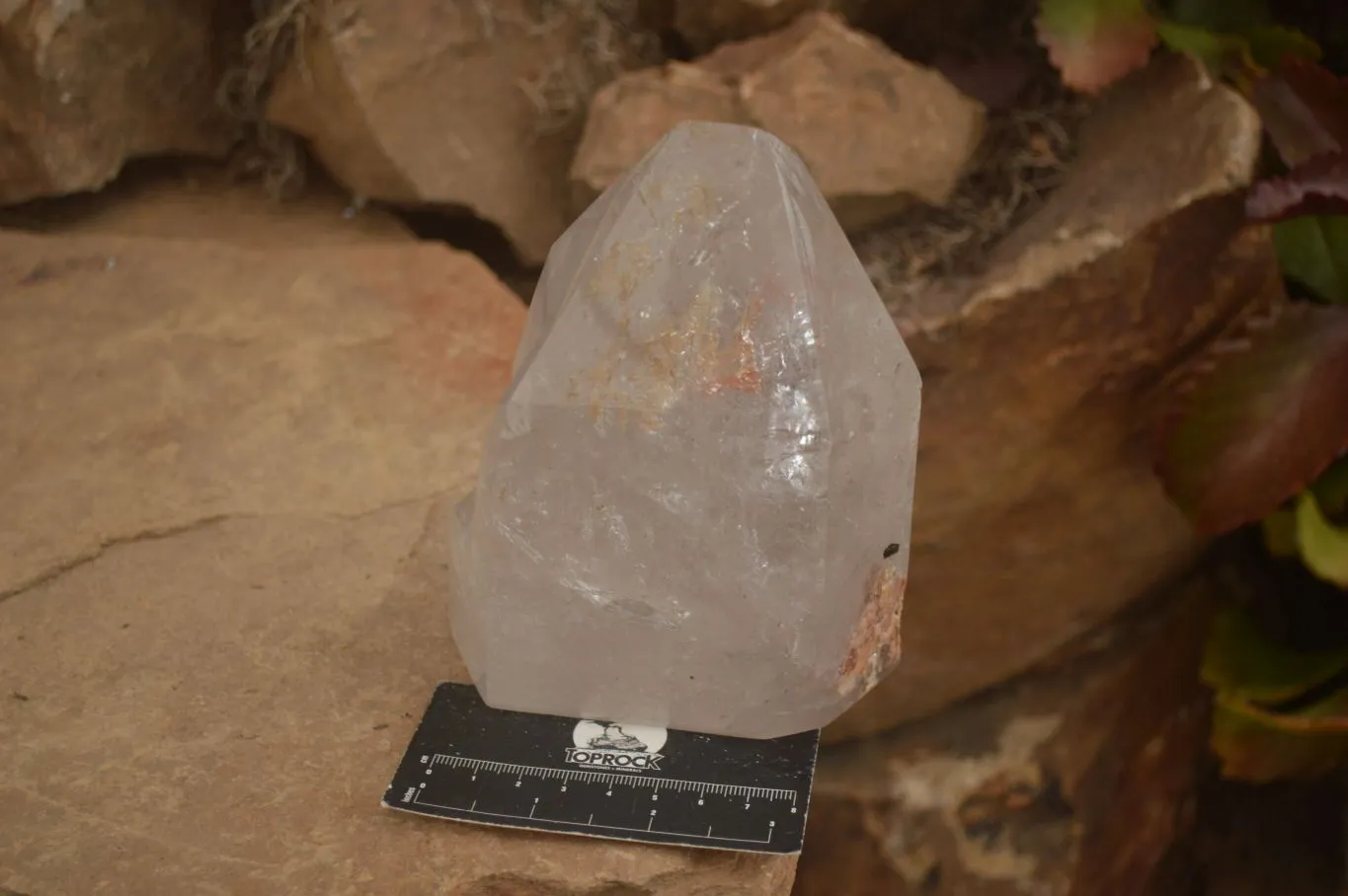 Polished Large Clear Window Quartz Point x 1 From Madagascar