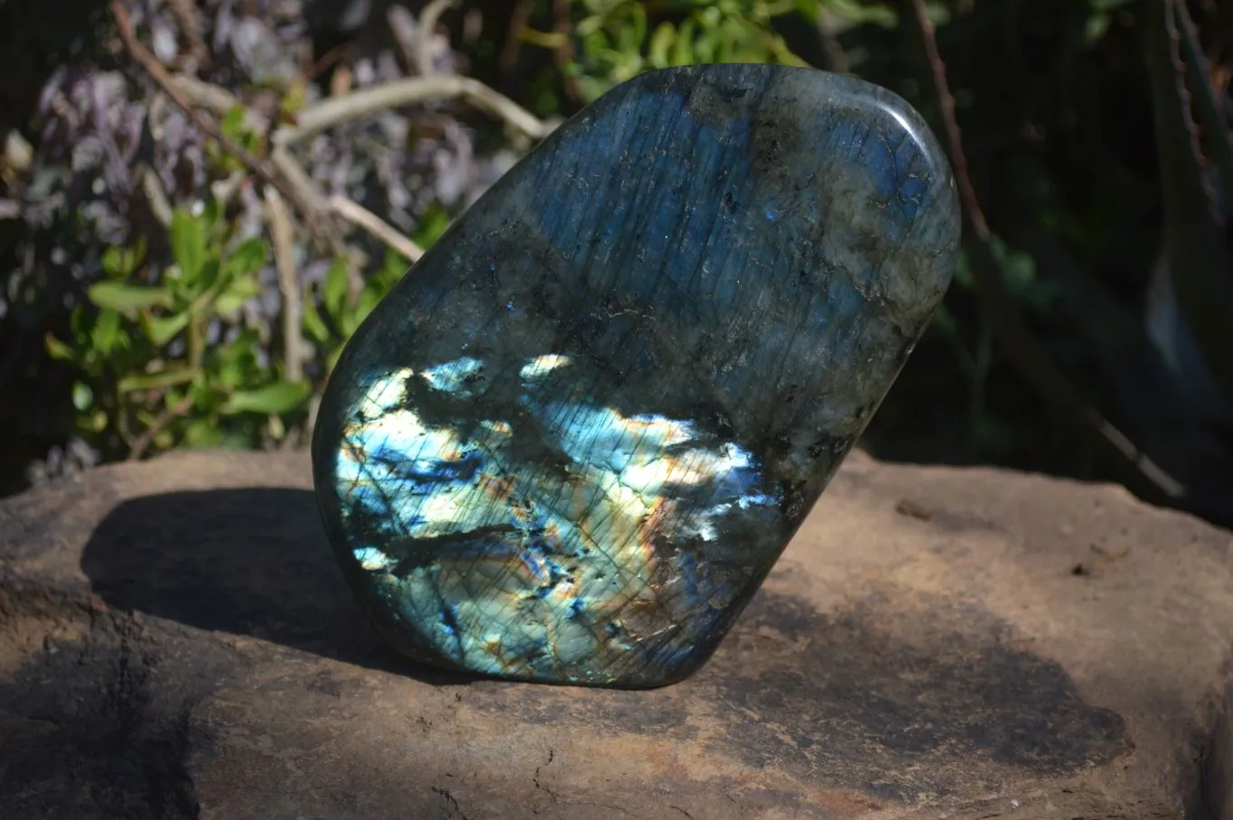 Polished Large Labradorite Standing Free Form  x 1 From Tulear, Madagascar