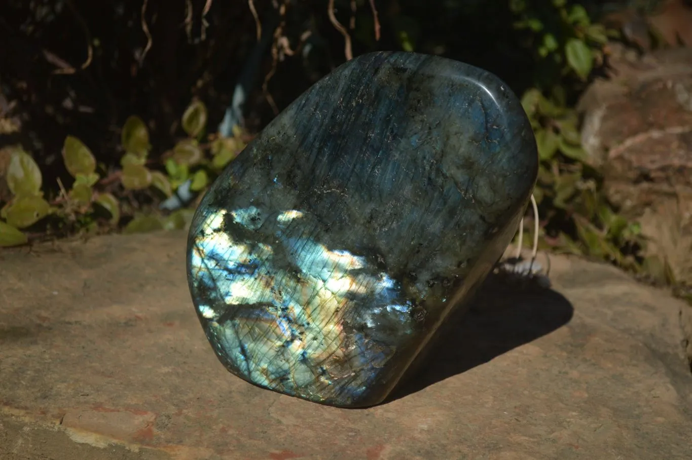 Polished Large Labradorite Standing Free Form  x 1 From Tulear, Madagascar