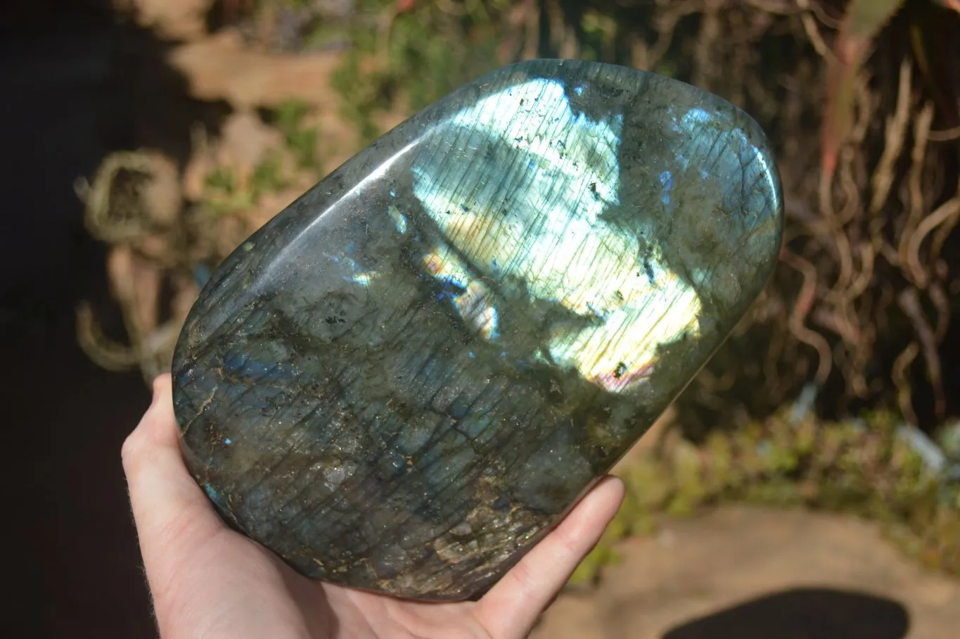 Polished Large Labradorite Standing Free Form  x 1 From Tulear, Madagascar