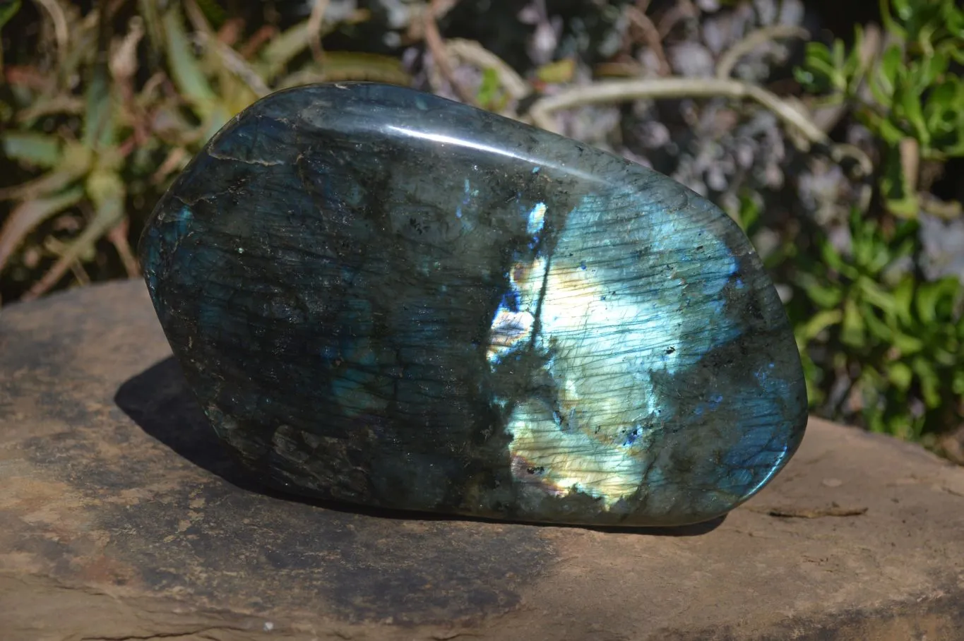 Polished Large Labradorite Standing Free Form  x 1 From Tulear, Madagascar