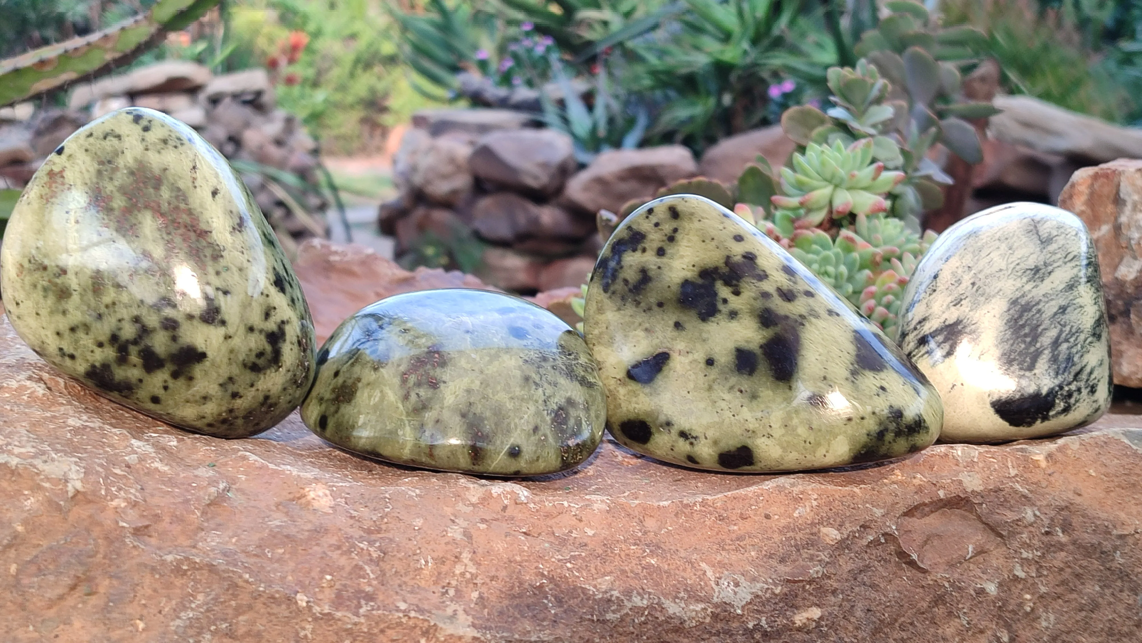 Polished  Large Leopard Stone Free Forms  x 4 From Zimbabwe