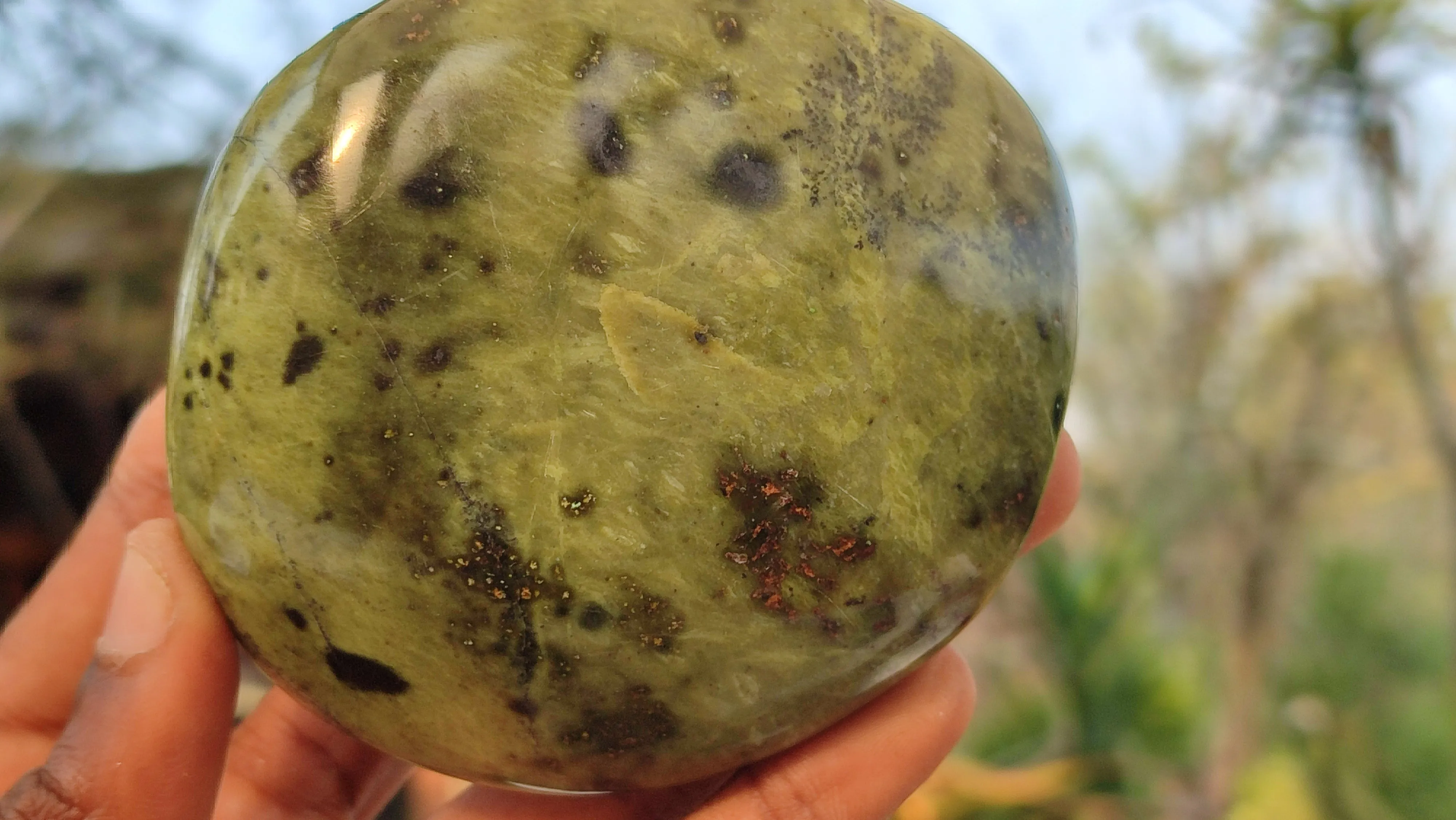 Polished  Large Leopard Stone Free Forms  x 4 From Zimbabwe