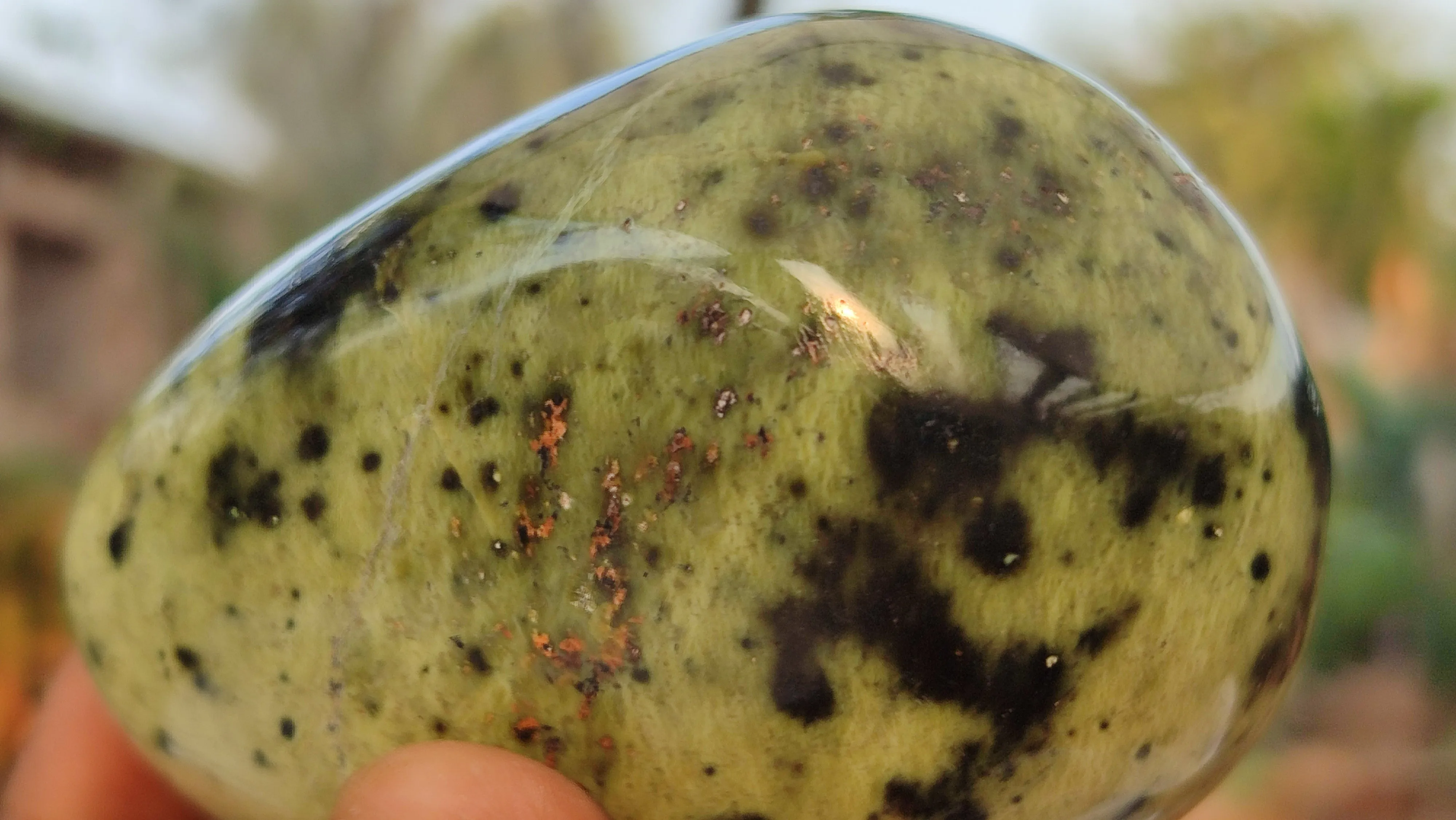 Polished  Large Leopard Stone Free Forms  x 4 From Zimbabwe