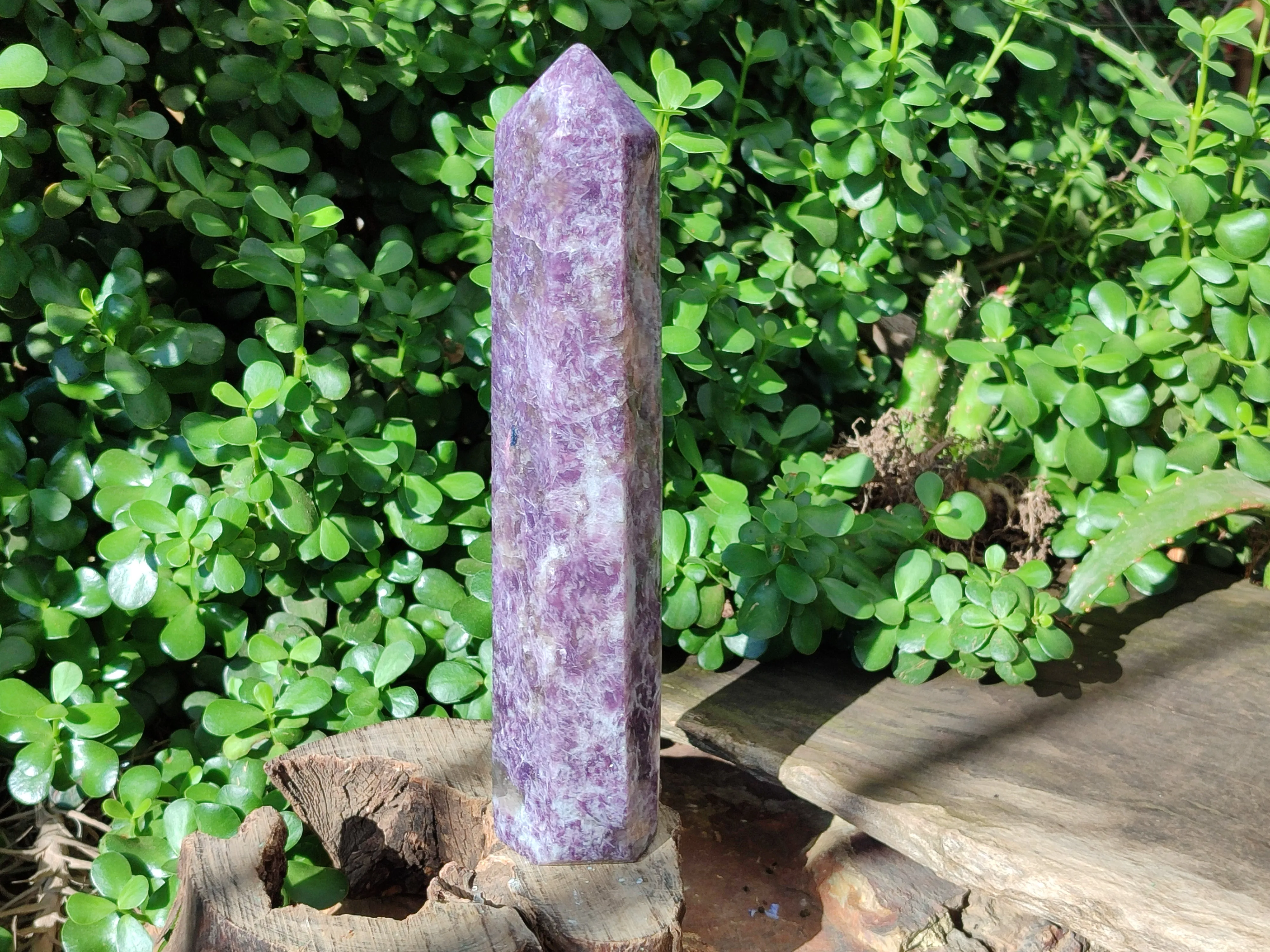 Polished Lepidolite with Pink Rubellite Tower x 1 From Ambatondrazaka, Madagascar