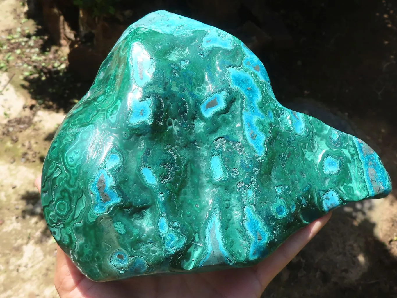 Polished Malacholla (Malachite & Chrysocolla) Free Form  x 1 From Kulukuluku, Congo